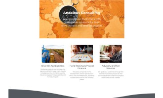 Website design for Andalous Consulting Madrid