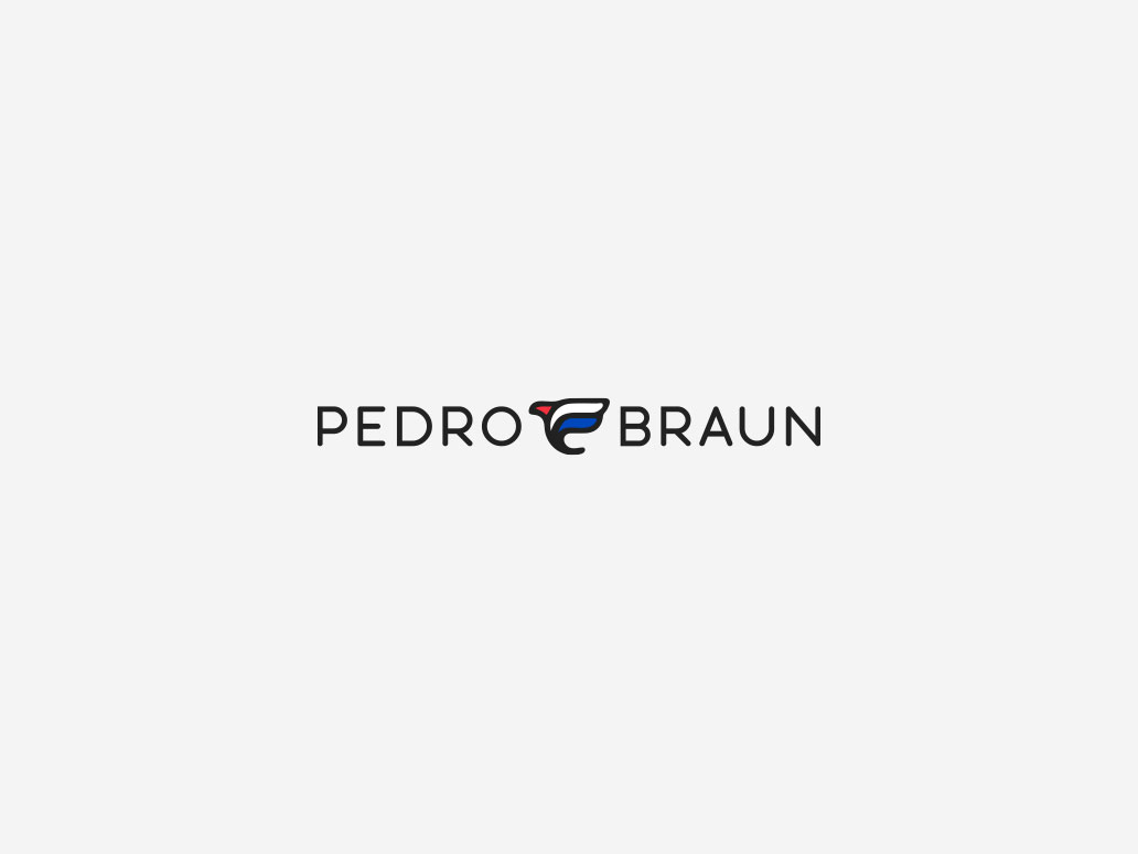 Creación de Logotipo para Pedro Braun