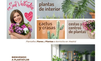Creación tienda online Plantaflor vivero flores plantas Madrid