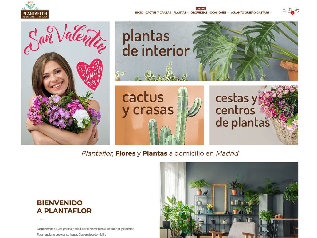 Creación tienda online Plantaflor vivero flores plantas Madrid