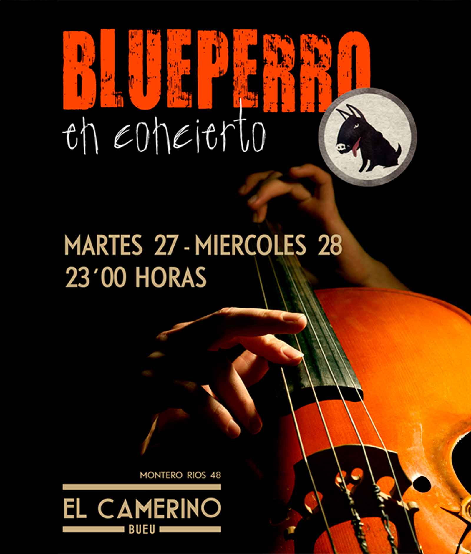 Blueperro en concierto en el camerino